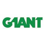 G1ANT.Studio logo