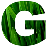GroundLeader logo