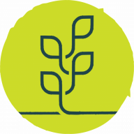 HealthChase logo