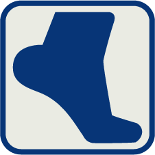 HealthFlow logo