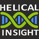 Helical Insight logo