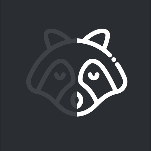 Hide Expert VPN logo