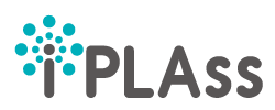 iPLAss logo