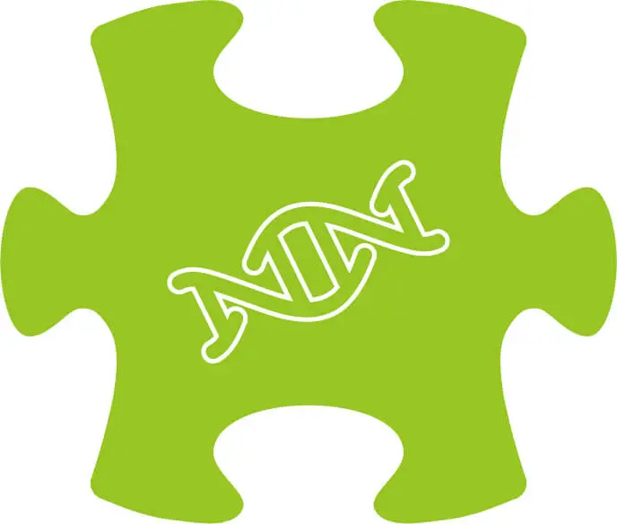 iVIEW Dataflow logo