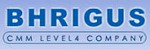 IVR Reporter logo