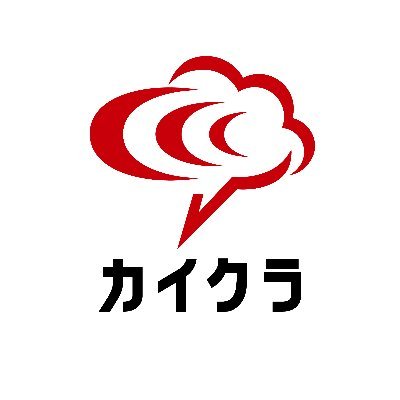 Kaikura logo