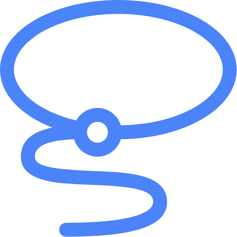 Lasso Moderation logo