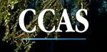 Light4 logo