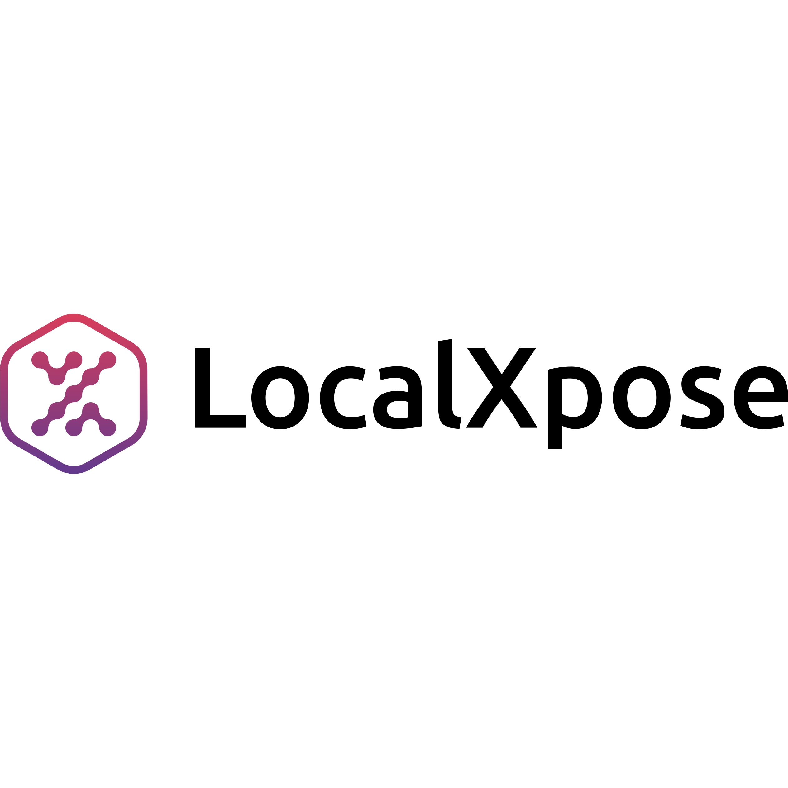 LocalXpose logo