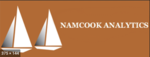 Namcook Analytics logo