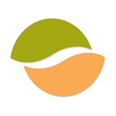 Net-Cloud logo