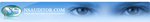 Network Security Auditor Logo