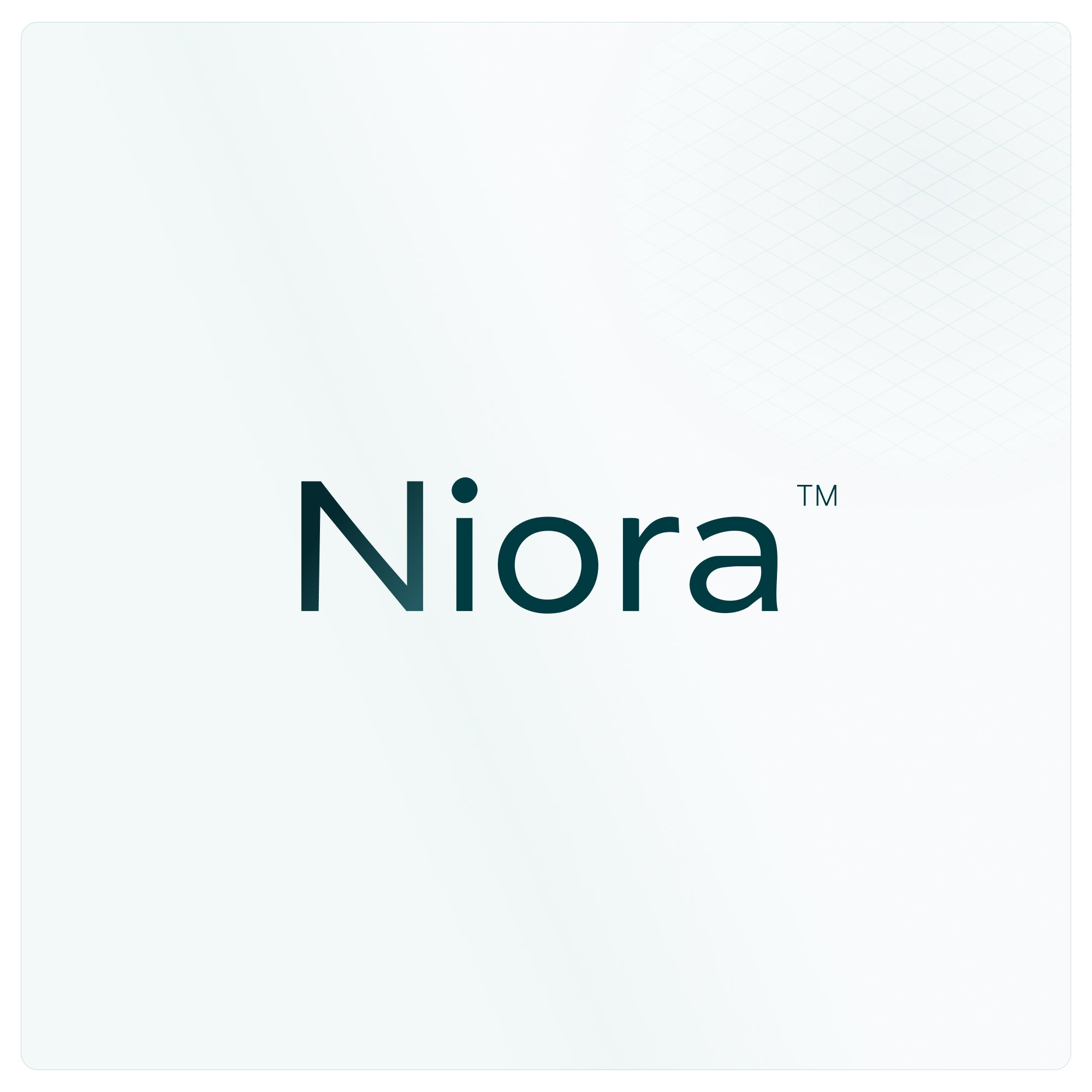 Niora AI logo