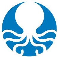 Octopus24 logo