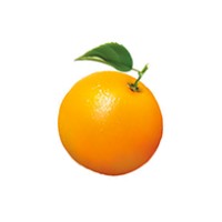 Orange Mailer logo