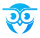 Owltics logo