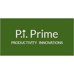 P.i. Prime logo