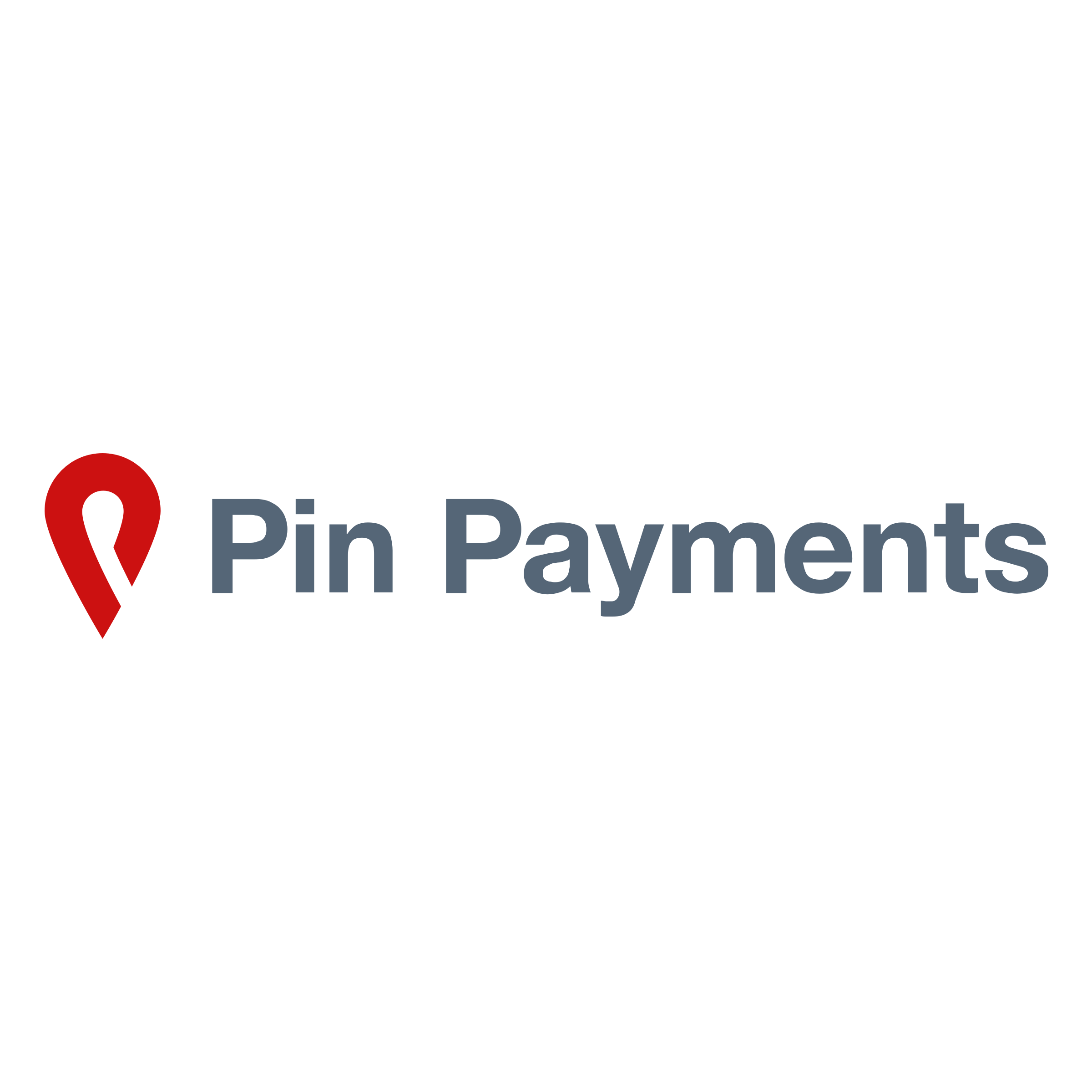 Pin Payments logo