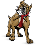 PitBullTax logo
