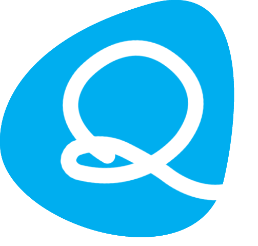 Quiddity logo