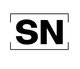 SalesforceToNotion logo