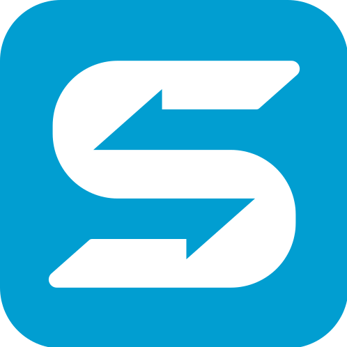 SalesIn logo