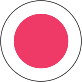 SalonTarget logo