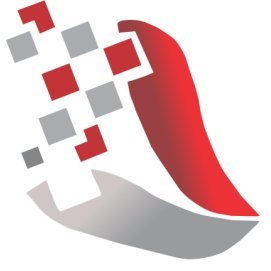 Seopanel logo