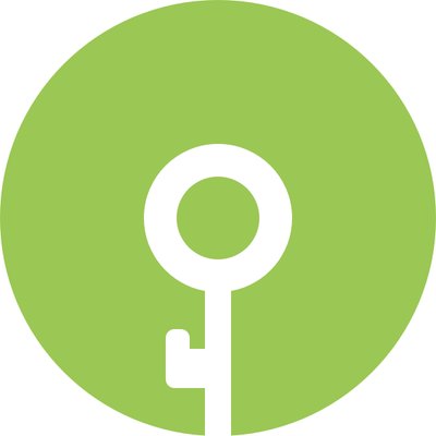 Singular Key logo
