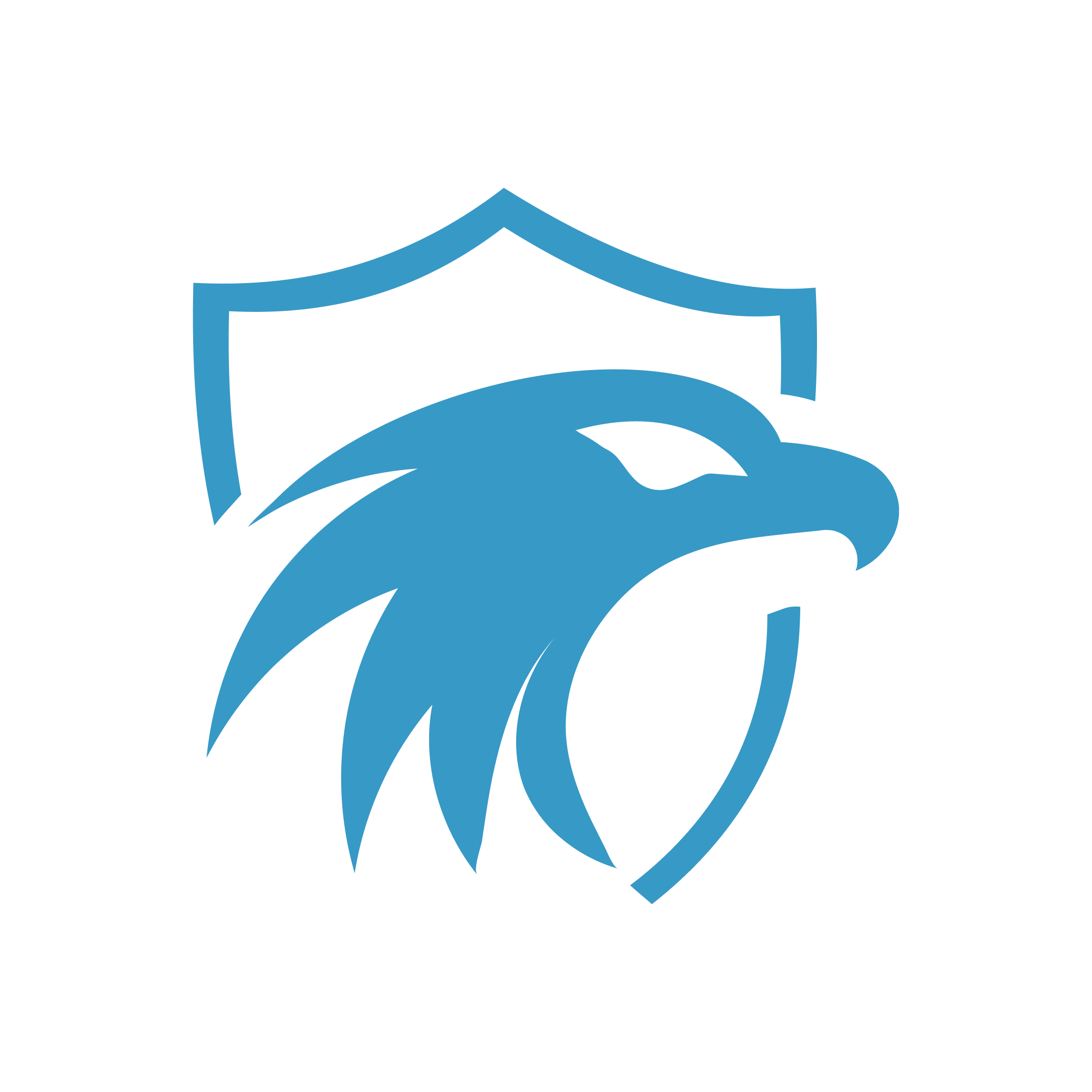 Site Hawk logo
