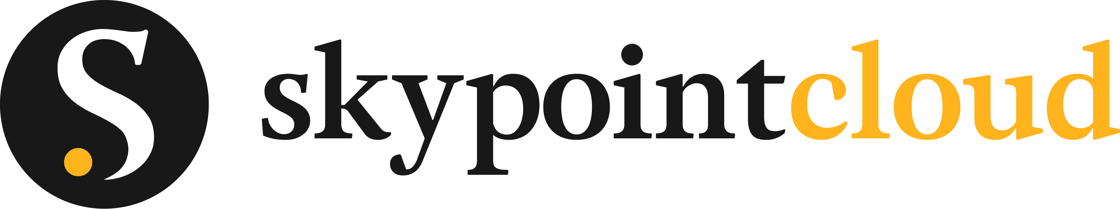 SkyPoint Cloud logo