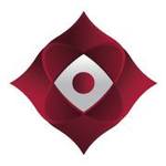 SmartAMS logo