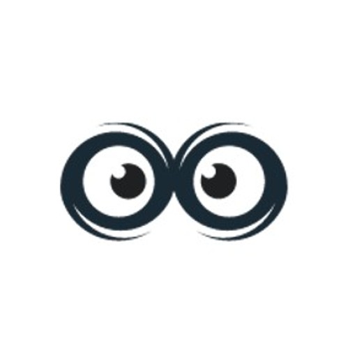SMM OWL logo