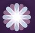 SocialFlow logo