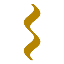 Strad Professional logo