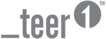 Teer1 logo