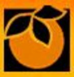 Tiger Jill logo