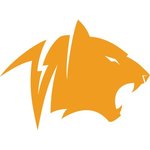 Tigera CNX logo