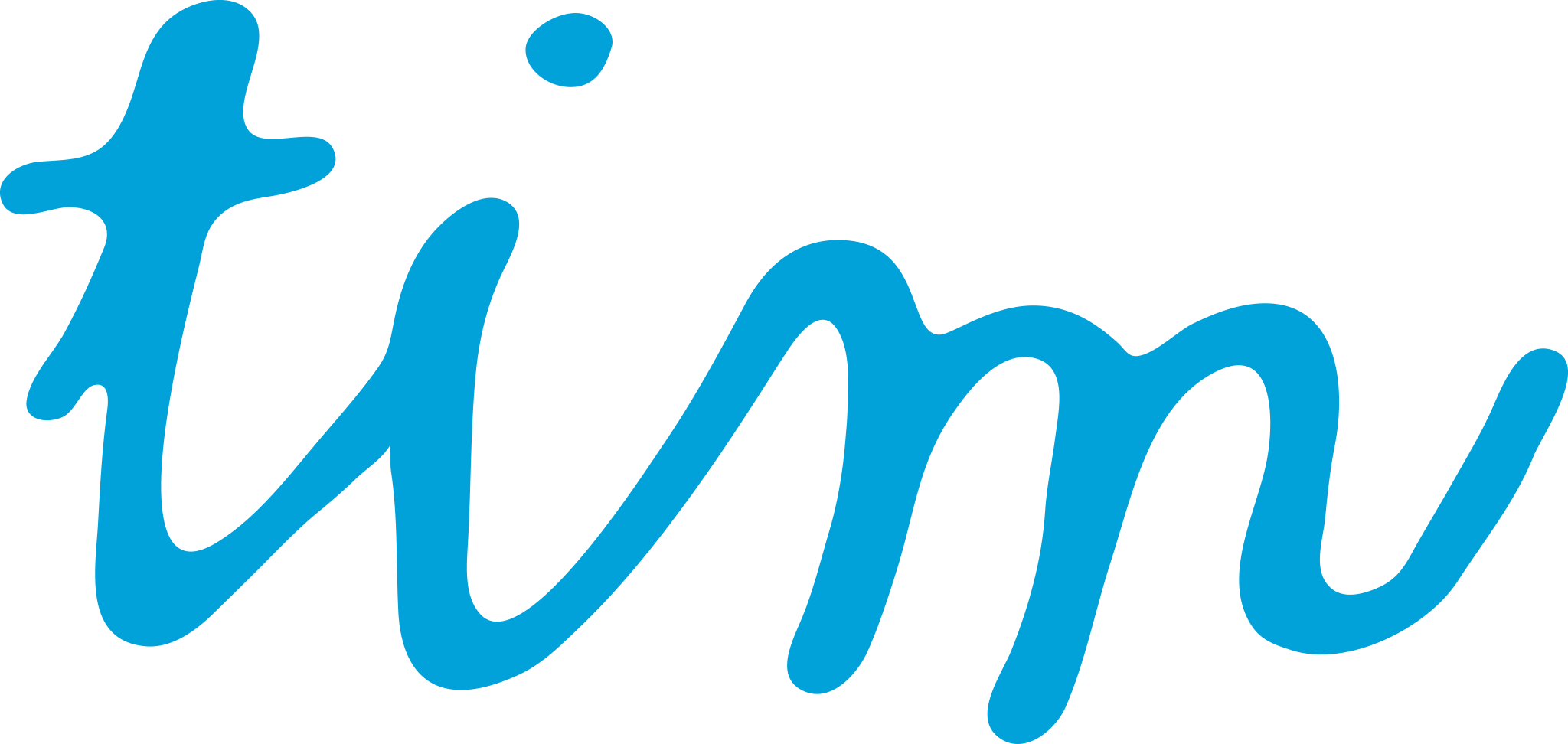 Tim logo