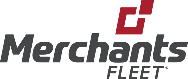 TotalView logo