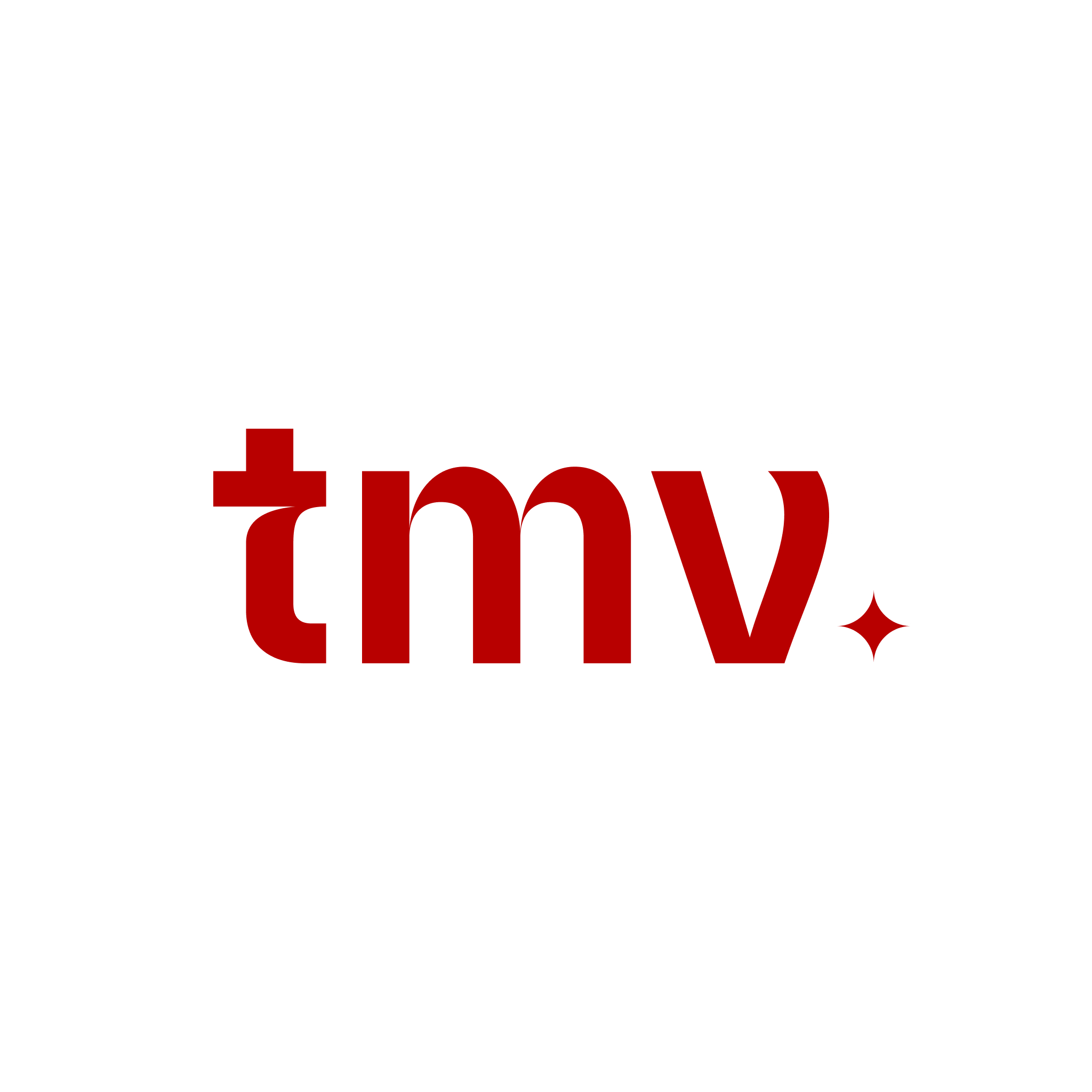 Track My Visibility logo
