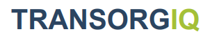 TransOrgIQ logo