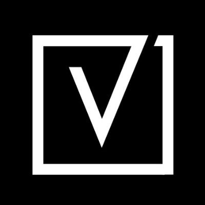 Vaidio logo