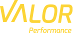 Valor Performance logo