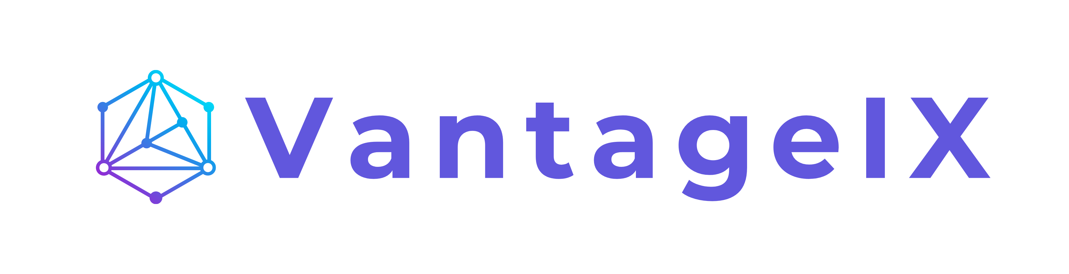 VantageIX logo