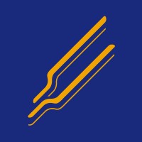 Viapazon logo