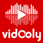 Vidooly  logo