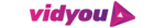Vidyou logo