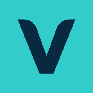 Viewteam logo