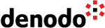 Virtual DataPort logo